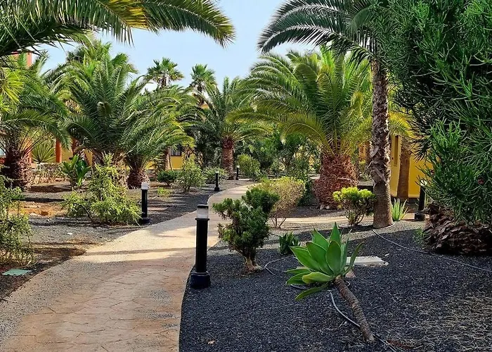 Frangipani - With Terrace & Shared Pool Daire Corralejo